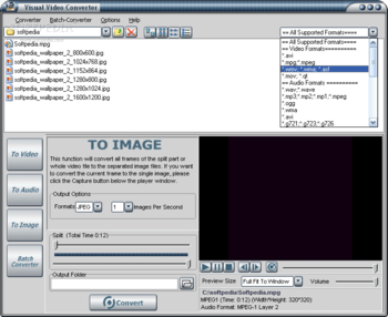 Visual Video Converter screenshot 3