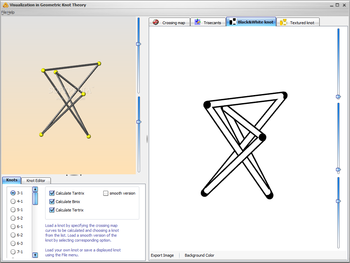 Visualization in Geometric Knot Theory screenshot 3
