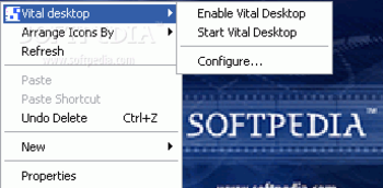 Vital Desktop Video screenshot
