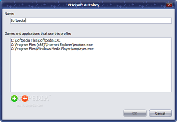 VMeisoft Autokey screenshot 4