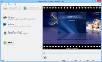 VMeisoft Flash to Video Converter screenshot