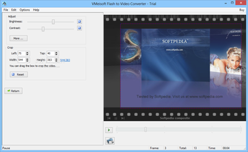 VMeisoft Flash to Video Converter screenshot 2