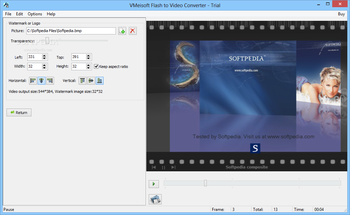 VMeisoft Flash to Video Converter screenshot 3