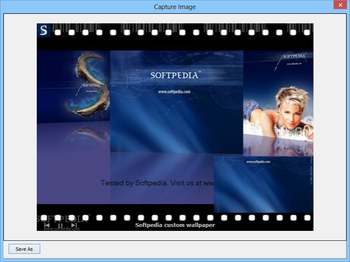 VMeisoft Flash to Video Converter screenshot 4