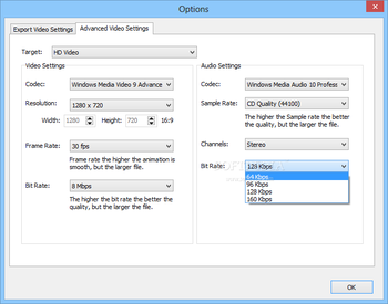 VMeisoft Flash to Video Converter screenshot 8