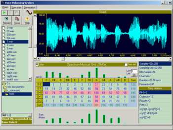 Voice Balancing System screenshot