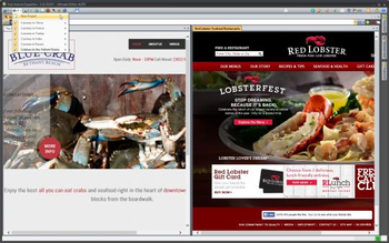 Vole Internet Expedition screenshot 3