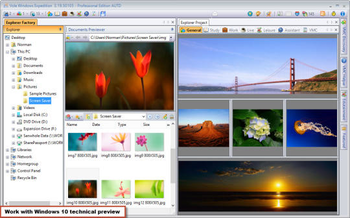 Vole Windows Expedition screenshot 2