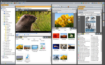 Vole Windows Expedition screenshot 5