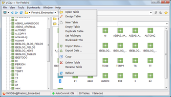 VSQL++ for Firebird screenshot 2