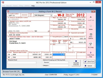 W2 Pro Professional Edition screenshot
