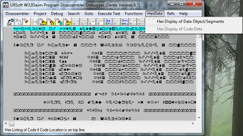 W32DASM screenshot 9