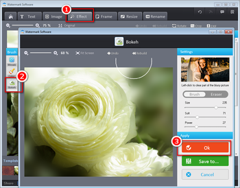 Watermark Software screenshot