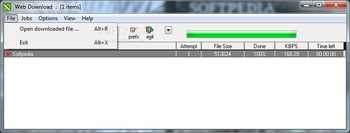Web Downloader screenshot 2
