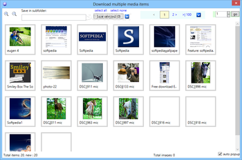 Web Downloader screenshot 3