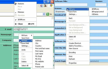 Web form filler IEFillForm screenshot 3