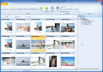 Web Gallery Downloader Lite screenshot 2