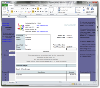 Web Hosting Invoice Form screenshot