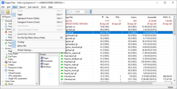 Web Log Explorer Professional screenshot 5