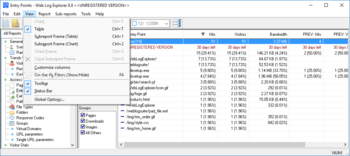 Web Log Explorer Standard screenshot 4