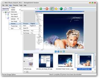 Web Photo Search screenshot 5