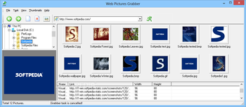 Web Pictures Grabber screenshot 2