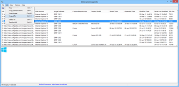 WebCacheImageInfo screenshot 2