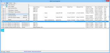 WebCacheImageInfo screenshot 3