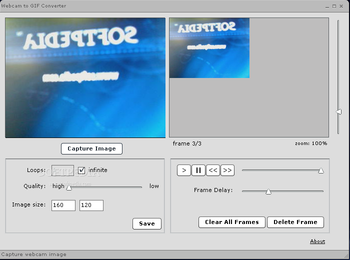 WebCam to GIF screenshot