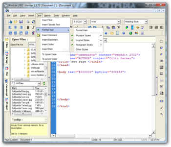 WebEdit screenshot 3