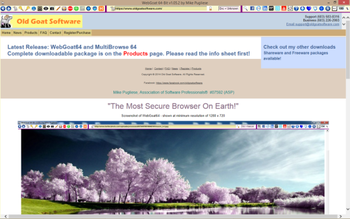 WebGoat64 screenshot