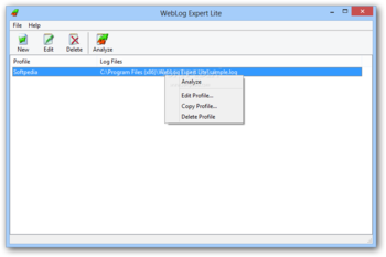 WebLog Expert Lite screenshot