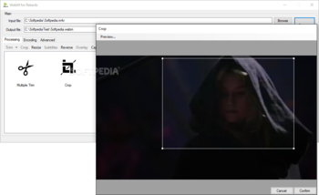 WebM for Retards (WebMConverter) screenshot 4