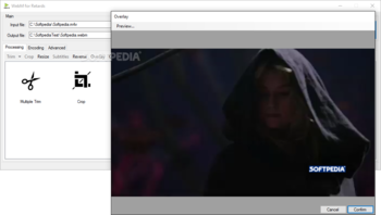 WebM for Retards (WebMConverter) screenshot 5