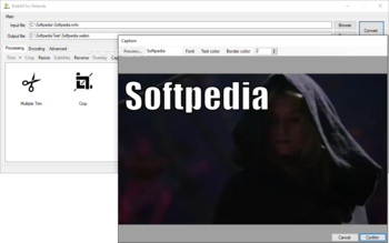 WebM for Retards (WebMConverter) screenshot 6