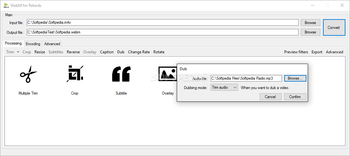 WebM for Retards (WebMConverter) screenshot 7