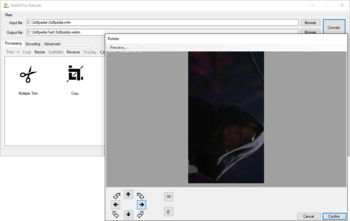 WebM for Retards (WebMConverter) screenshot 9