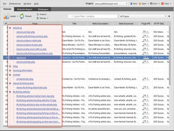 WebSite Auditor screenshot