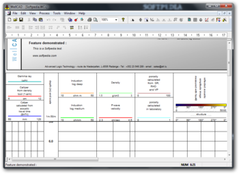 WellCAD screenshot