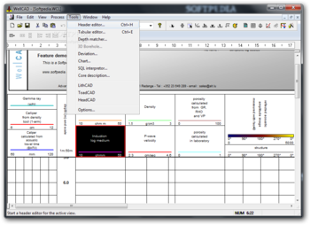 WellCAD screenshot 5