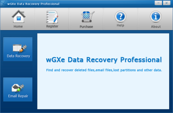 wGXe Data Recovery Professional screenshot