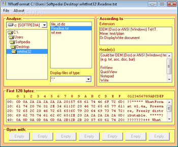 WhatFormat screenshot