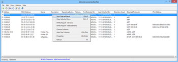 WhoIsConnectedSniffer screenshot