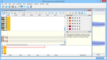 WIDI Recognition System Professional screenshot 3