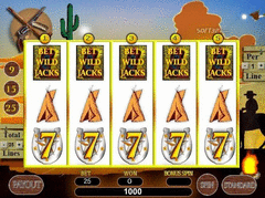 Wild West Slots screenshot 3