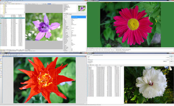 WildBit Viewer Portable screenshot
