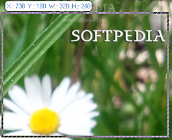Win Capture Editor screenshot 2