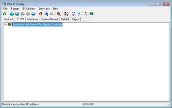Win IP Config screenshot