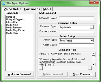 WinAgent screenshot