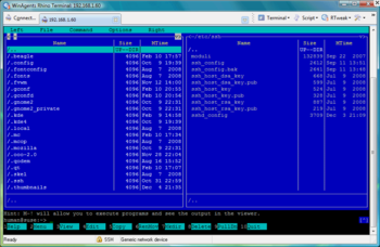 WinAgents Rhino Terminal screenshot 12